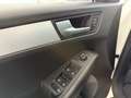 Audi Q5 2.0 TDI 143cv Ambiente Weiß - thumbnail 6