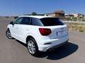 Audi Q2 2.0 tdi quattro 190cv s tronic Sline Tetto*Virtual Bianco - thumbnail 7