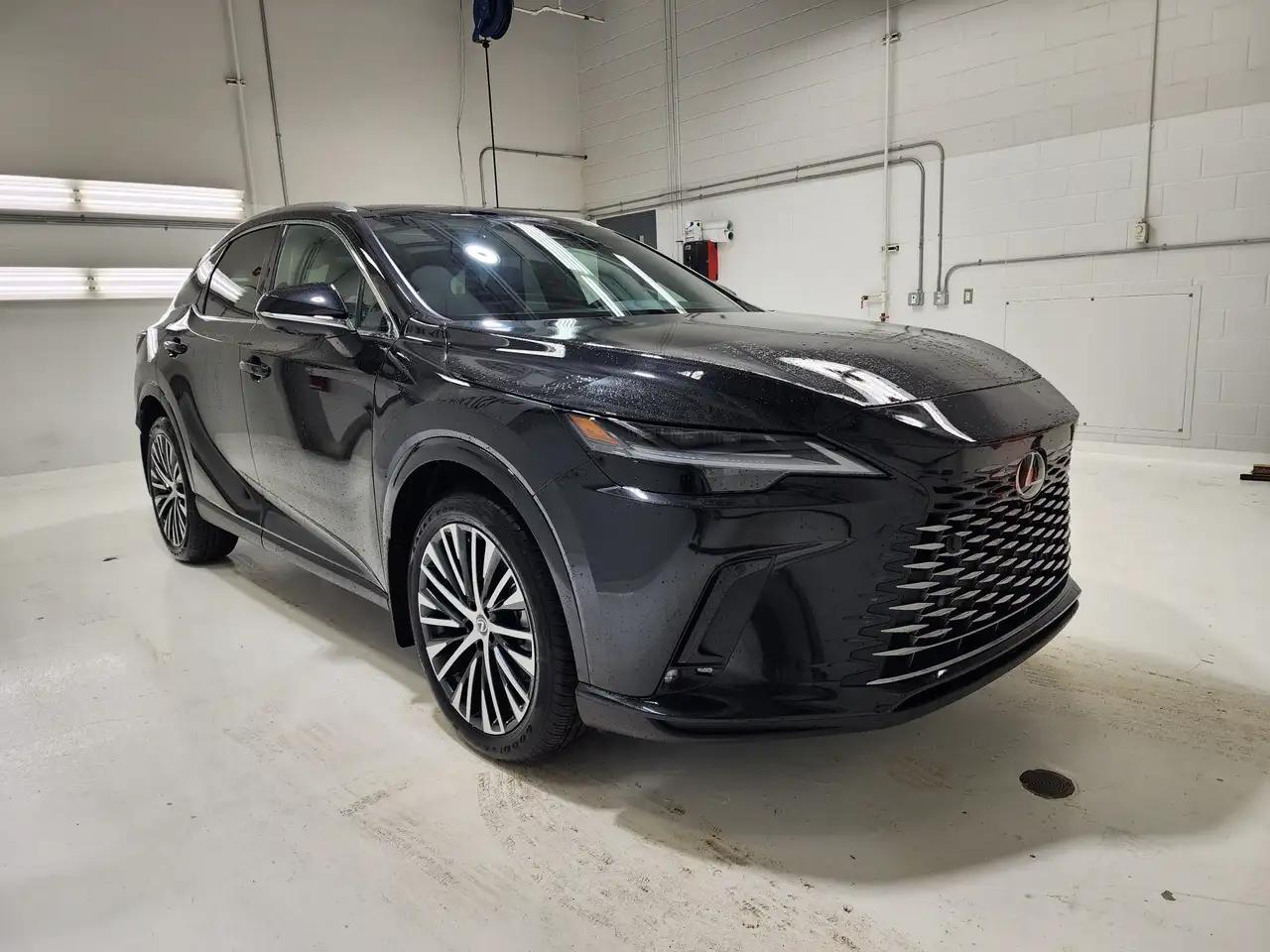 Lexus RX снимка Lexus RX