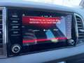 Skoda Karoq Ambition Limited TDI Schwarz - thumbnail 14