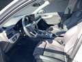 Audi A4 allroad qu. 40 TD S tr. AHK 18 Stdhzg Matrix Silber - thumbnail 10