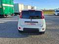 Fiat Panda VAN 4 POSTI N1 Street AUTOCARRO 1.0 Hybrid 70CV Blanc - thumbnail 6