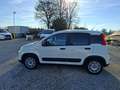Fiat Panda VAN 4 POSTI N1 Street AUTOCARRO 1.0 Hybrid 70CV Blanc - thumbnail 8