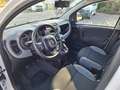 Fiat Panda VAN 4 POSTI N1 Street AUTOCARRO 1.0 Hybrid 70CV Blanc - thumbnail 9