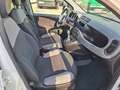 Fiat Panda VAN 4 POSTI N1 Street AUTOCARRO 1.0 Hybrid 70CV Blanc - thumbnail 12