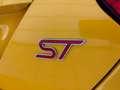 Ford Focus 2.0 EcoBoost ST, Leder-Sport, Navi, 18", RECARO Gelb - thumbnail 25