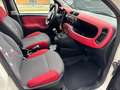 Fiat Panda 1.2 Lounge 69cv,UNICO PROP.,CLIMA,C.LEGA,OK NEO, Blanc - thumbnail 17