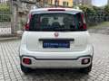 Fiat Panda 1.0 City Cross Plus Hybrid Bianco - thumbnail 8