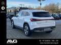 Mercedes-Benz EQA 250 EQA 250 LED DISTRONIC 360° KAM CARPLAY EL.HECK. Weiß - thumbnail 6