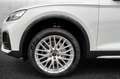 Audi Q5 SPB 40 TDI quattro S tronic Business Advanced Bianco - thumbnail 14