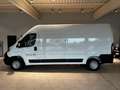 Opel Movano Cargo Edition L3H2 2.2 D 121 kW - AHK Wit - thumbnail 5
