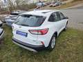 Ford Kuga 2.5 Duratec FHEV 4x4 COOL&CONNECT Weiß - thumbnail 3