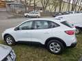 Ford Kuga 2.5 Duratec FHEV 4x4 COOL&CONNECT Weiß - thumbnail 6