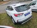 Ford Kuga 2.5 Duratec FHEV 4x4 COOL&CONNECT Weiß - thumbnail 5
