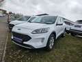 Ford Kuga 2.5 Duratec FHEV 4x4 COOL&CONNECT Weiß - thumbnail 7