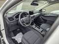 Ford Kuga 2.5 Duratec FHEV 4x4 COOL&CONNECT Weiß - thumbnail 9