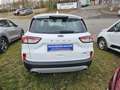 Ford Kuga 2.5 Duratec FHEV 4x4 COOL&CONNECT Weiß - thumbnail 4