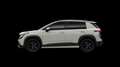 Skoda Sonstige Selection 55 Grau - thumbnail 3