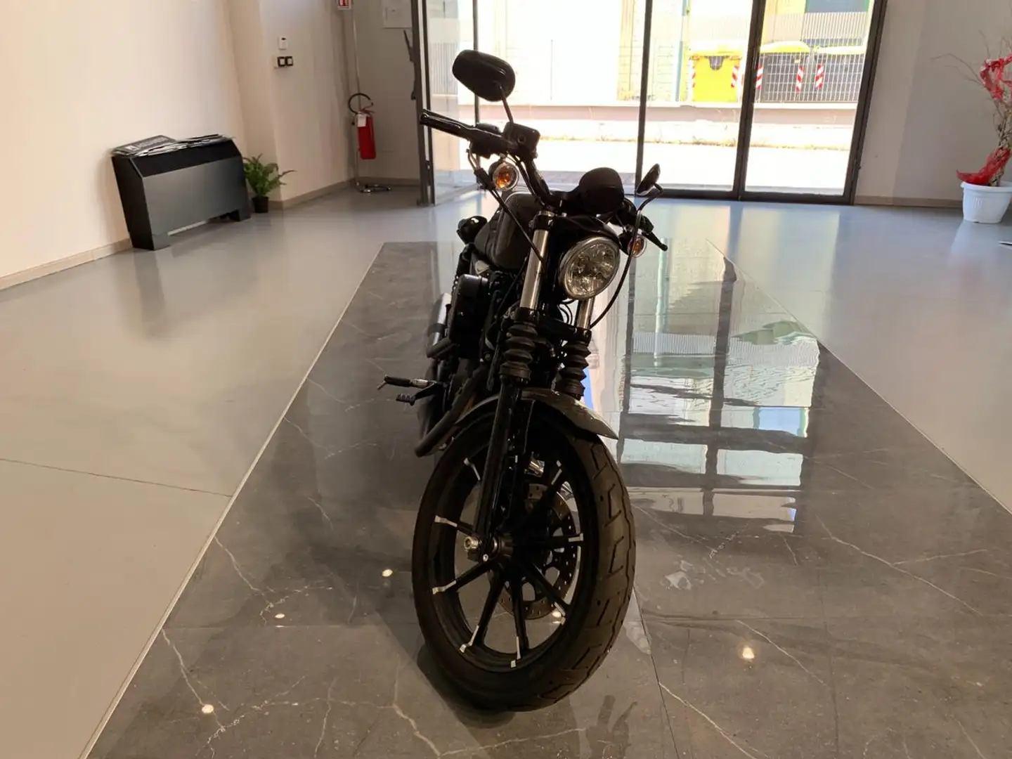 Harley-Davidson XL 883 XL 883N "IRON" Verde - 2