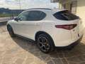 Alfa Romeo Stelvio 2.2 Turbodiesel 210 CV AT8 Q4 Executive Wit - thumbnail 11