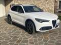 Alfa Romeo Stelvio 2.2 Turbodiesel 210 CV AT8 Q4 Executive Wit - thumbnail 5