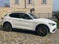Alfa Romeo Stelvio 2.2 Turbodiesel 210 CV AT8 Q4 Executive Wit - thumbnail 8