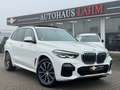 BMW X5 xDrive 30d"M-Sport-LINE"PANO*360°KAMERA*DAB* Weiß - thumbnail 1