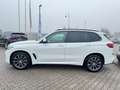 BMW X5 xDrive 30d"M-Sport-LINE"PANO*360°KAMERA*DAB* Weiß - thumbnail 10