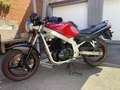 Suzuki GS 500 GS500E - thumbnail 5