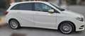 Mercedes-Benz B 200 B 200 c (ngd) Executive Bianco - thumbnail 2