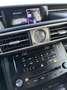 Lexus IS 300 300h F Sport F-Sport Grau - thumbnail 12