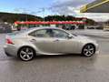 Lexus IS 300 300h F Sport F-Sport Grau - thumbnail 6