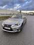 Lexus IS 300 300h F Sport F-Sport Grau - thumbnail 1