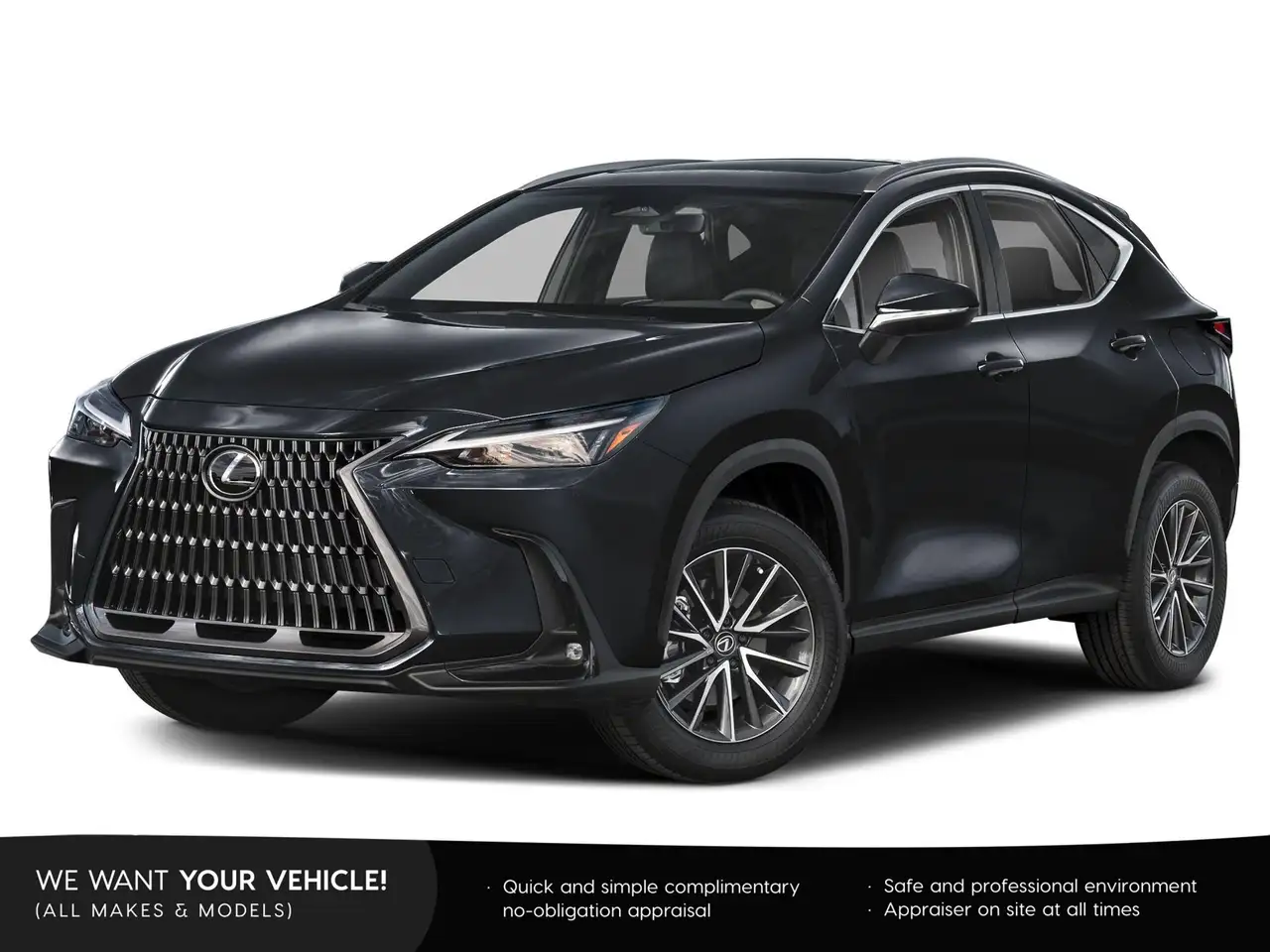 2023 Lexus NX