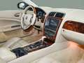 Jaguar XK 4.2 Cabrio - Luxus-Sport-Paket | ACC | 19Zoll Yeşil - thumbnail 11