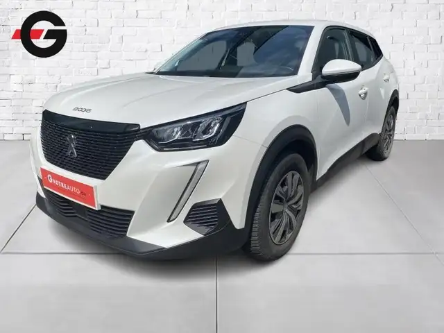Peugeot 2008 active es 101