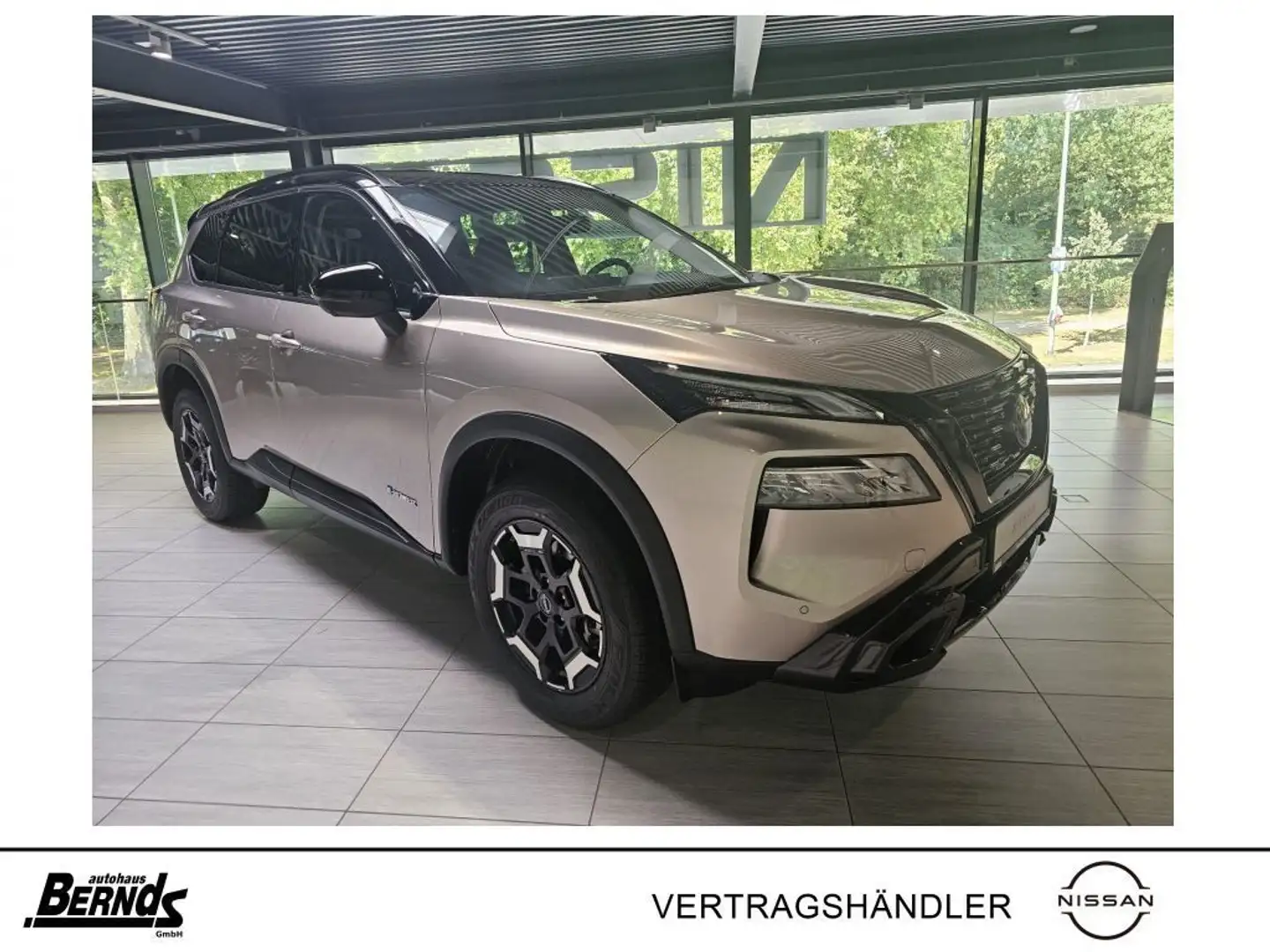 Nissan X-Trail e-POWER e-4ORCE 213PS N-Trek - Familien-Paket, SHZ Argento - 2