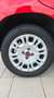 Fiat Panda Panda III 2016 1.2 Easy easypower Gpl 69cv my19 Rouge - thumbnail 9
