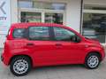 Fiat Panda Panda III 2016 1.2 Easy easypower Gpl 69cv my19 Rouge - thumbnail 8