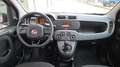 Fiat Panda Panda III 2016 1.2 Easy easypower Gpl 69cv my19 Rouge - thumbnail 18