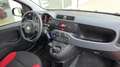 Fiat Panda Panda III 2016 1.2 Easy easypower Gpl 69cv my19 Rouge - thumbnail 17