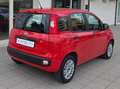 Fiat Panda Panda III 2016 1.2 Easy easypower Gpl 69cv my19 Rouge - thumbnail 7