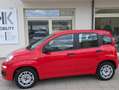 Fiat Panda Panda III 2016 1.2 Easy easypower Gpl 69cv my19 Rouge - thumbnail 5