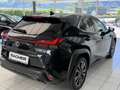 Lexus UX 250h 300 h Schwarz - thumbnail 6