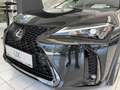 Lexus UX 250h 300 h Schwarz - thumbnail 35