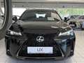 Lexus UX 250h 300 h Schwarz - thumbnail 9