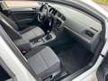 Volkswagen Golf VII 7 LIM.BMT.*KLIMAAUT*PDC*6.G*ALU*1.HAND* Blanc - thumbnail 23