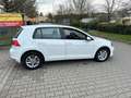 Volkswagen Golf VII 7 LIM.BMT.*KLIMAAUT*PDC*6.G*ALU*1.HAND* Blanc - thumbnail 4