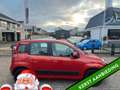 Fiat Panda 0.9 TwinAir Edizione Cool 62.000 km NL-AUTO-NAP Rood - thumbnail 21
