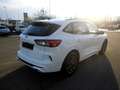 Ford Kuga 2,0 EcoBlue AWD ST-Line Aut. Weiß - thumbnail 3